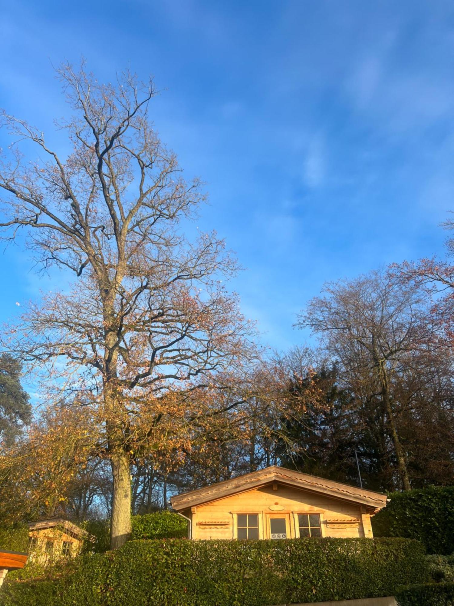 Mondorf Parc Hotel & Spa エクステリア 写真